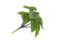 Coco Maison Anthurium Mini Bush H13cm kunstbloem 